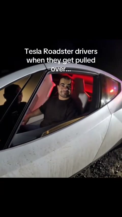 Seated adult driver in Semsar’s fictional roadside-stop reference